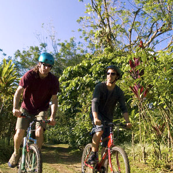 Pasear en bicicleta por las fincas cafetaleras – CHIAPAS, AVENTURA Y ECOTURISMO
